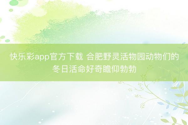 快乐彩app官方下载 合肥野灵活物园动物们的冬日活命好奇瞻仰勃勃