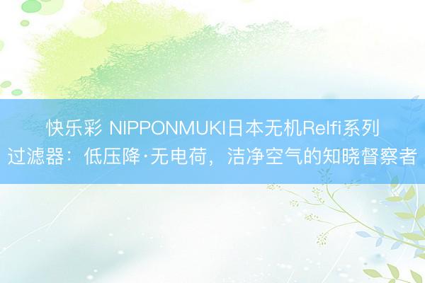 快乐彩 NIPPONMUKI日本无机Relfi系列过滤器:低压降·无电荷,洁净空气的知晓督察者