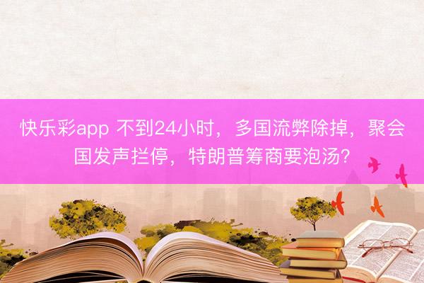 快乐彩app 不到24小时,多国流弊除掉,聚会国发声拦停,特朗普筹商要泡汤?
